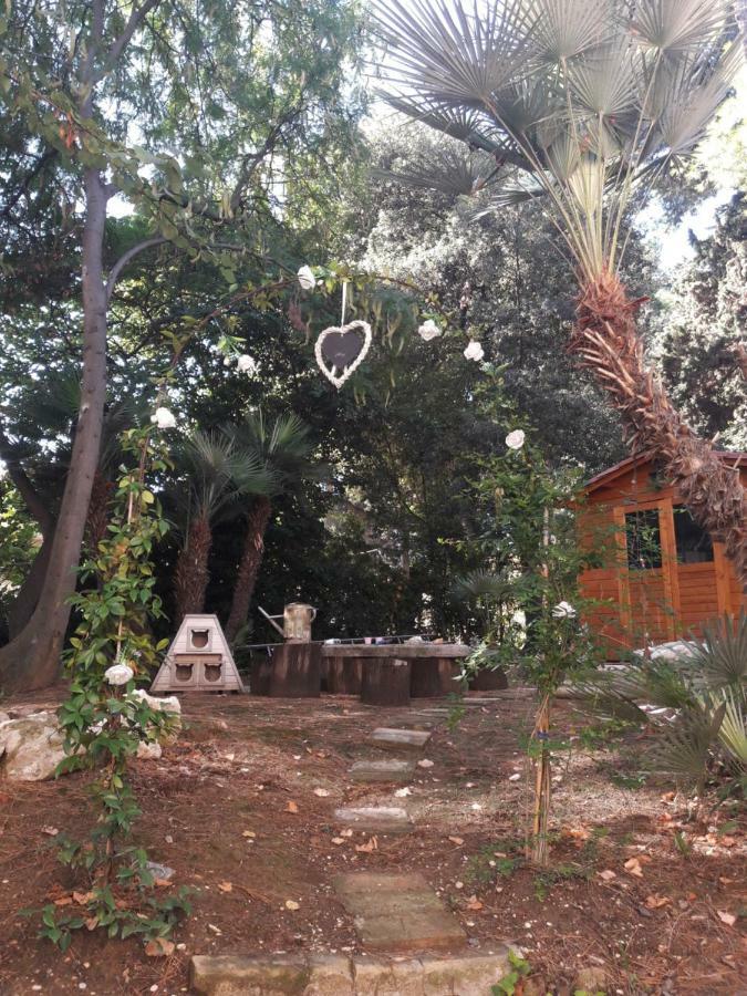 Il Gatto E Il Violino Villa Lido di Fermo Buitenkant foto