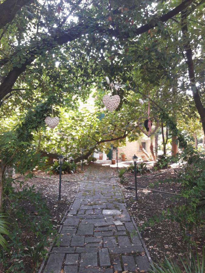 Il Gatto E Il Violino Villa Lido di Fermo Buitenkant foto