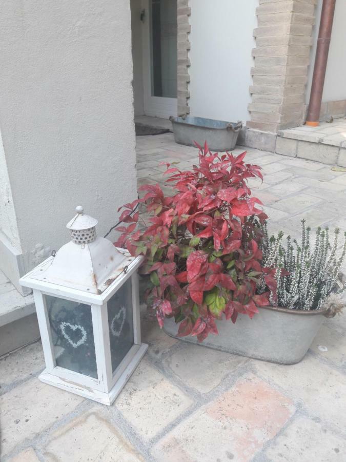 Il Gatto E Il Violino Villa Lido di Fermo Buitenkant foto