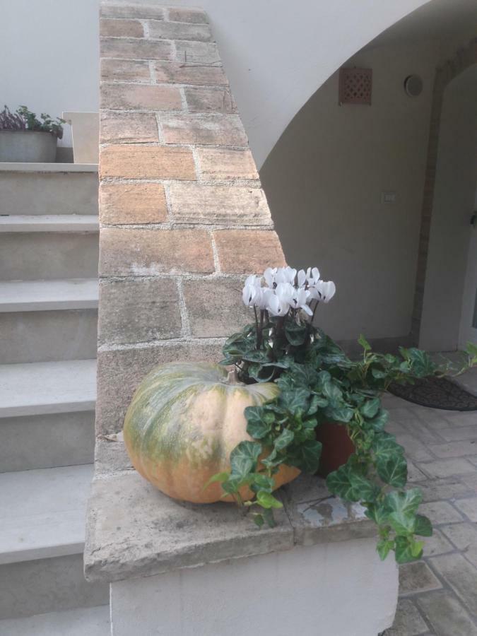 Il Gatto E Il Violino Villa Lido di Fermo Buitenkant foto