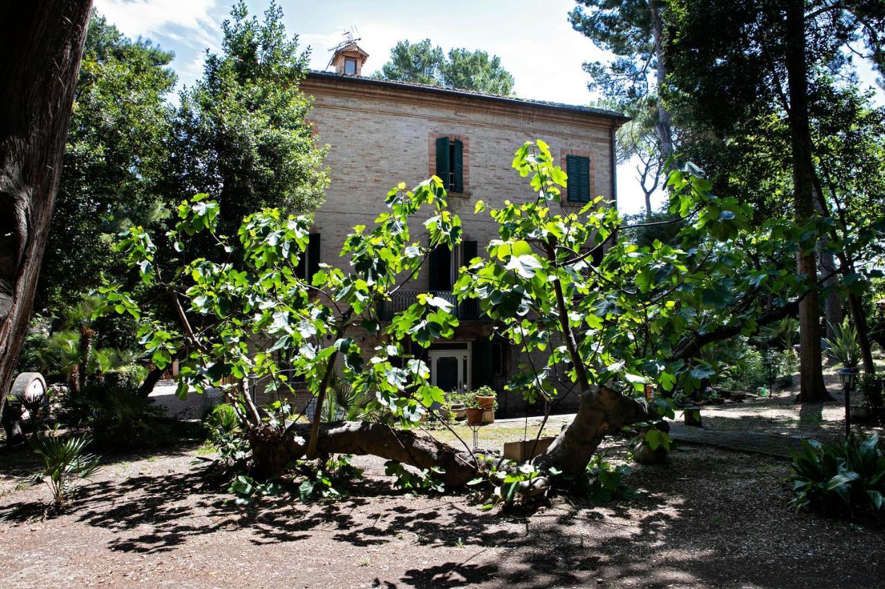 Il Gatto E Il Violino Villa Lido di Fermo Buitenkant foto