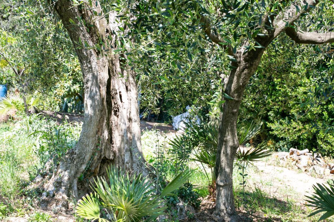 Il Gatto E Il Violino Villa Lido di Fermo Buitenkant foto